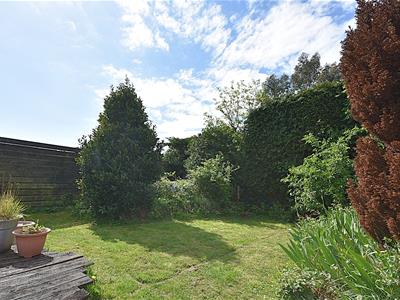 Picture 29